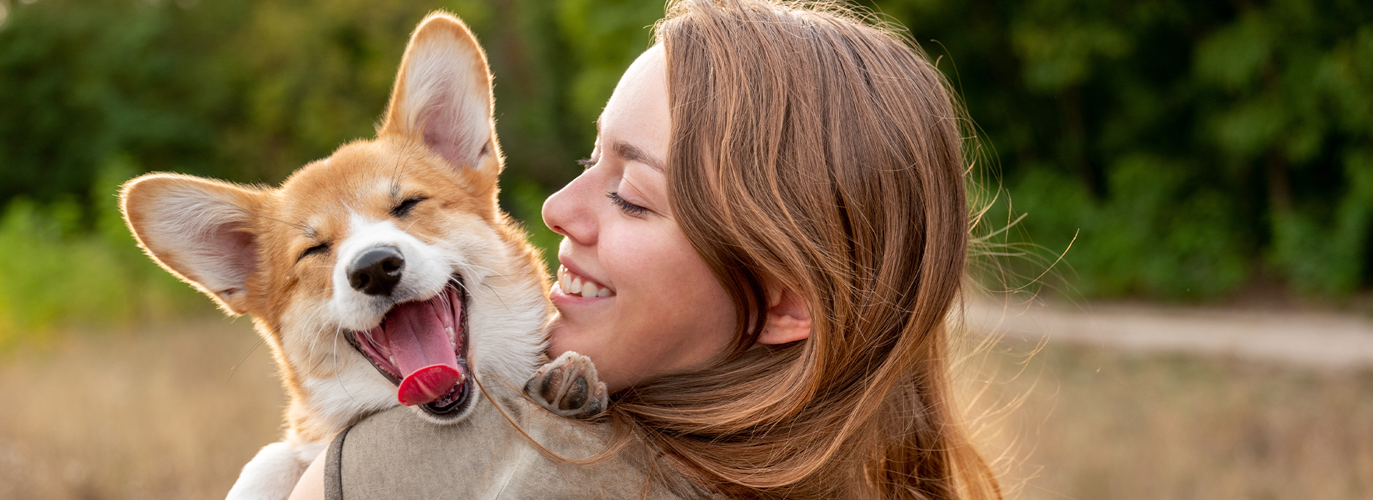 Taking the Dog to the Norfolk Broads: Norwich