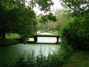 Father’s Day at Fairhaven Woodland & Water Gardens