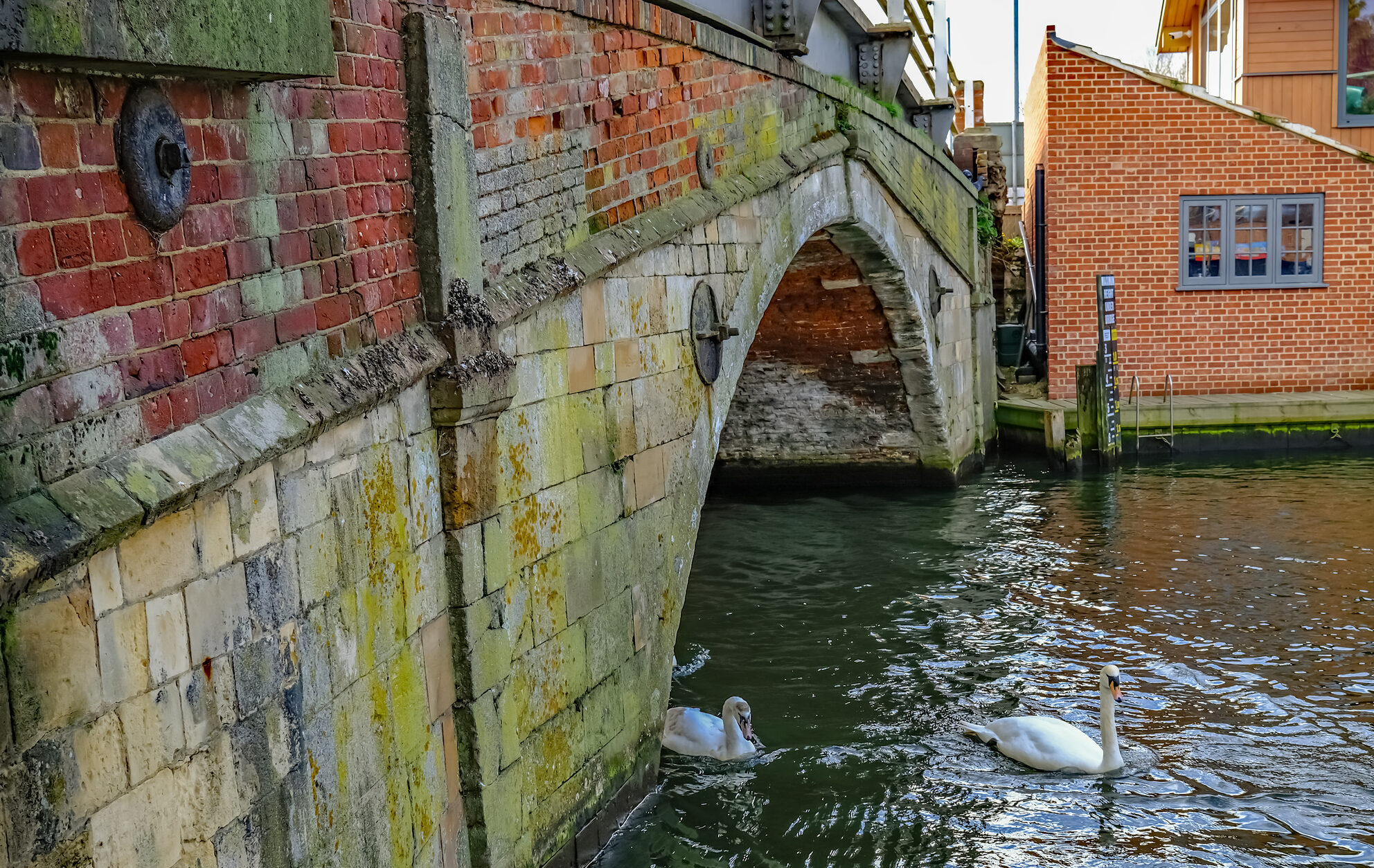 broads tours hoveton