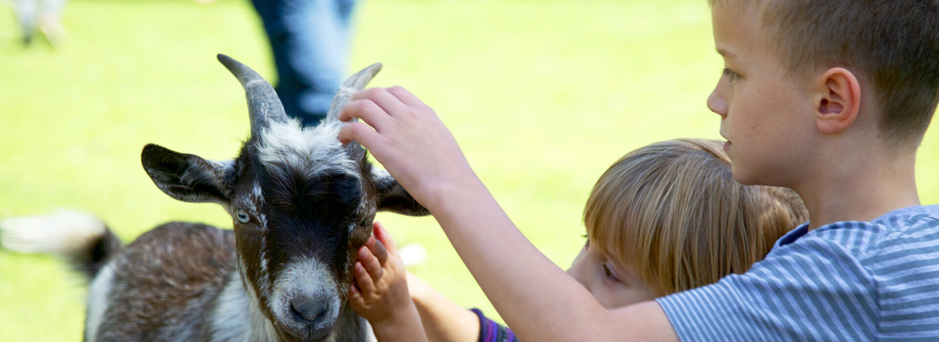 Things to Do with Children in the Broads National Park