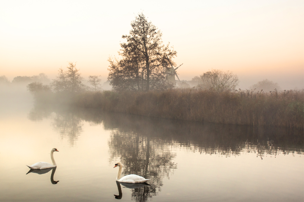 What to expect on your visit to How Hill Trust.