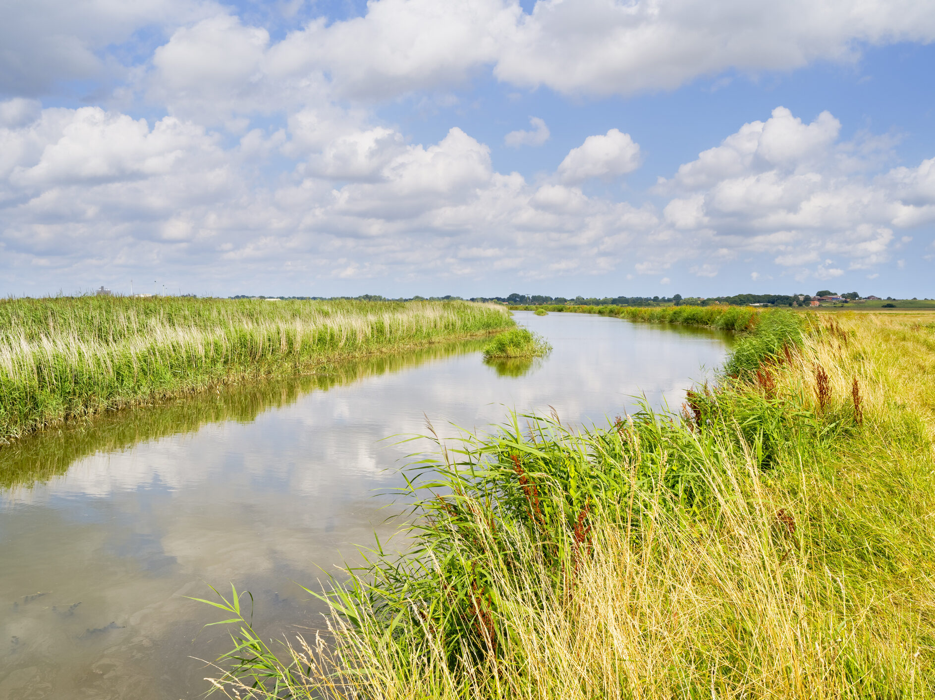 Reedham