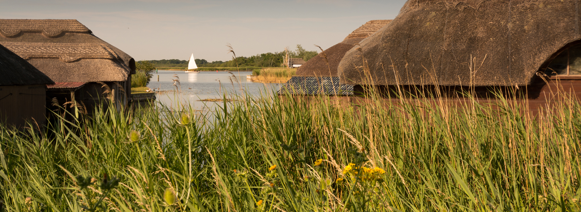 Hickling Broad National Nature Reserve