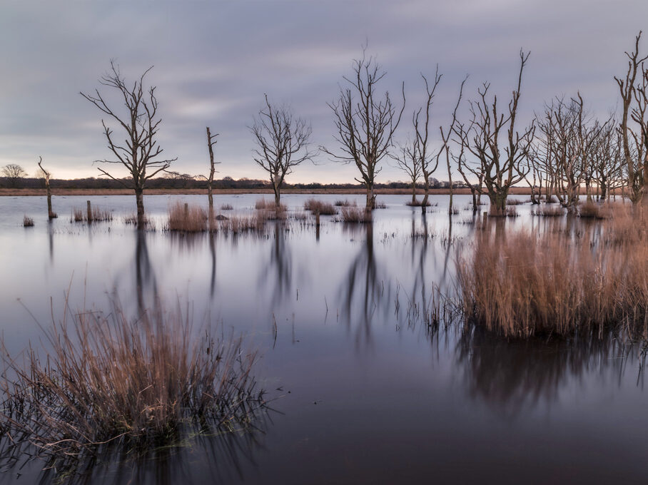 The River Thurne