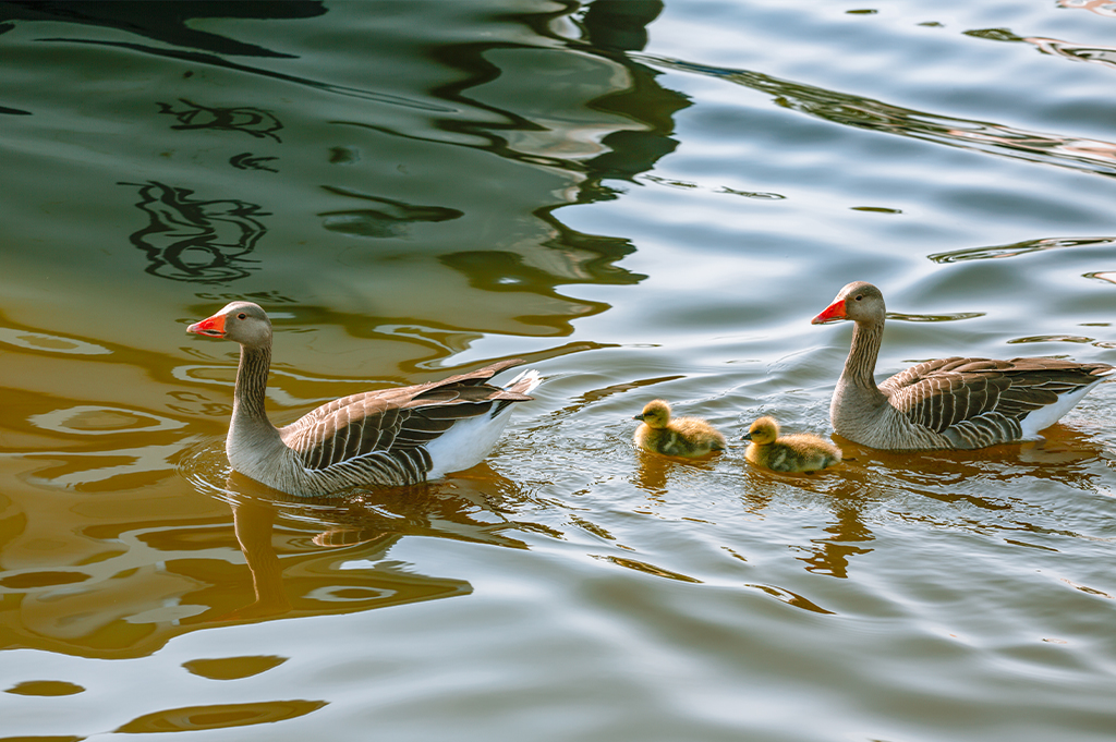 Leisure when Visiting Stalham