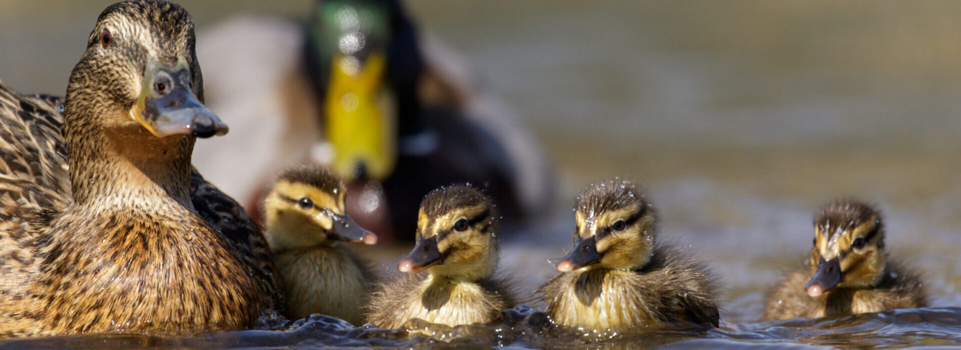 Proud Parents Name Their Baby After Richardson’s Holiday Boat