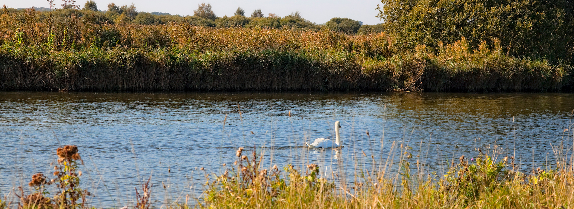 Why Choose the Norfolk Broads for your Holiday