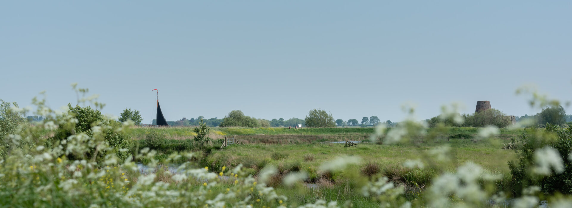 Norfolk Broads Wherries