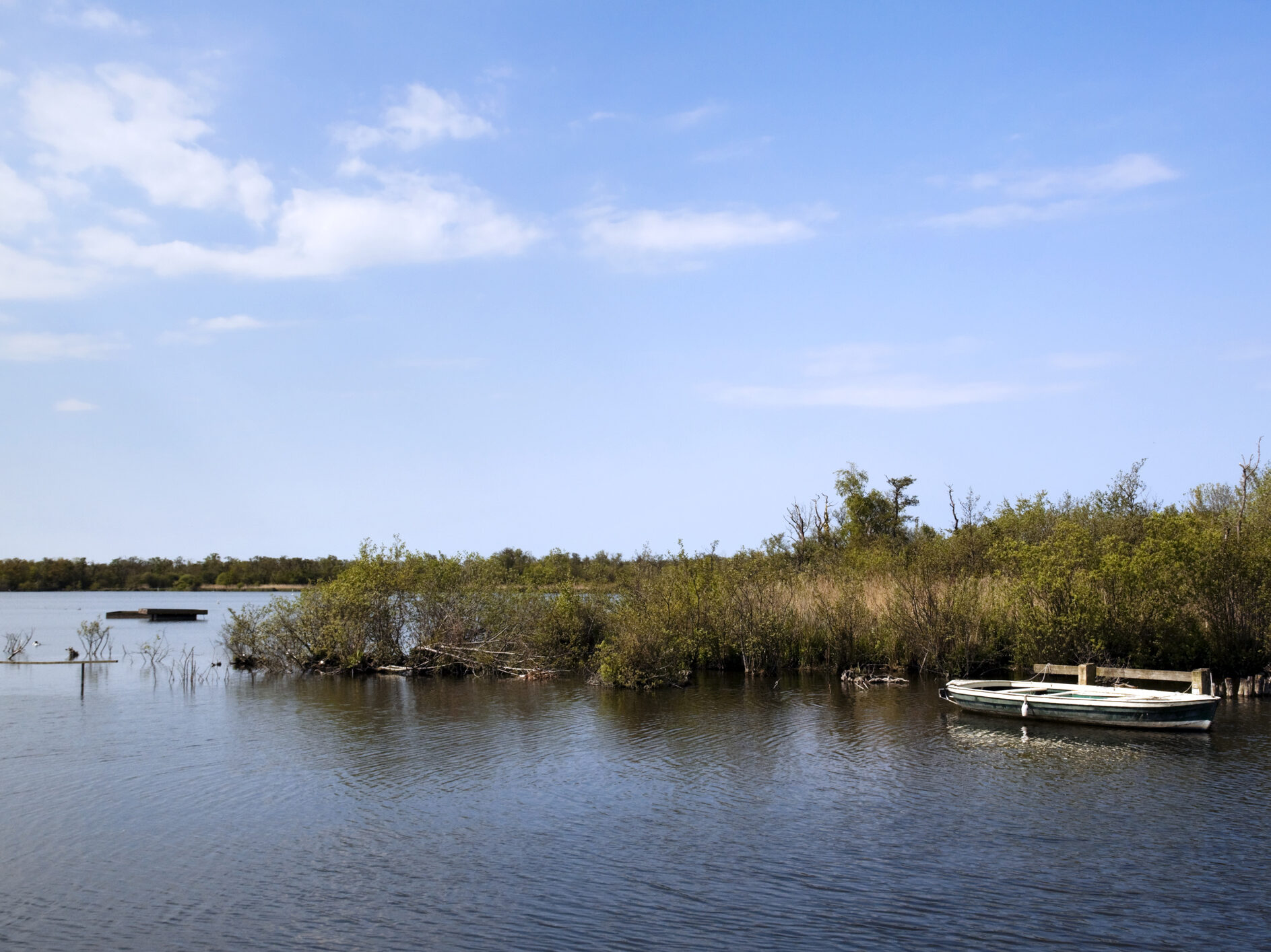 Ranworth Island