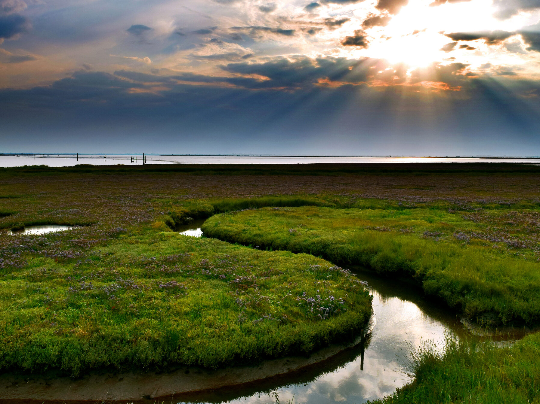 The Broads National Park is the largest protected wetland!