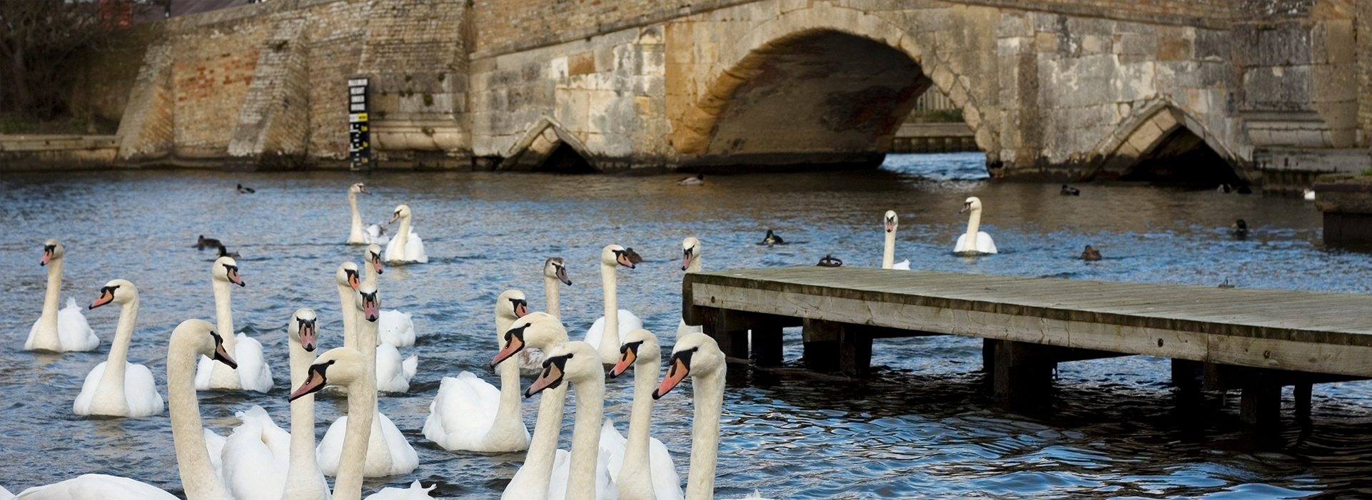 Norfolk Broads Bridges